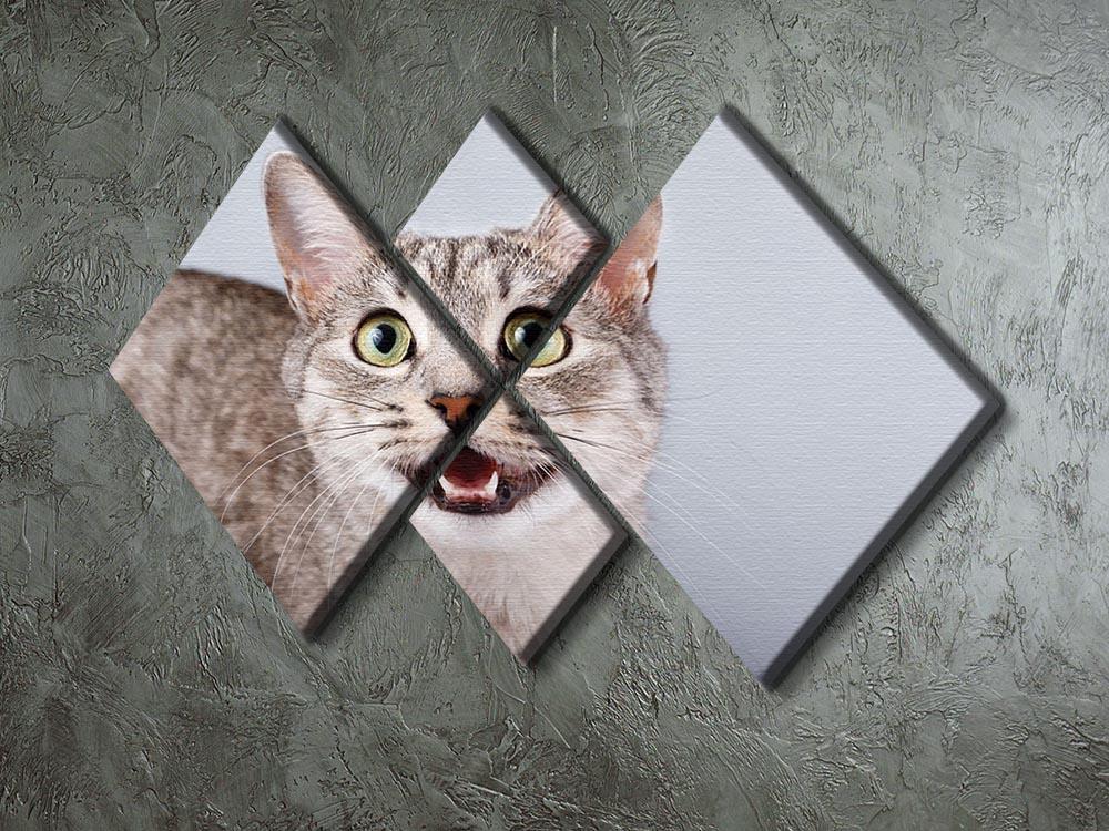 Cat meows gray tabby Shorthair 4 Square Multi Panel Canvas - Canvas Art Rocks - 2