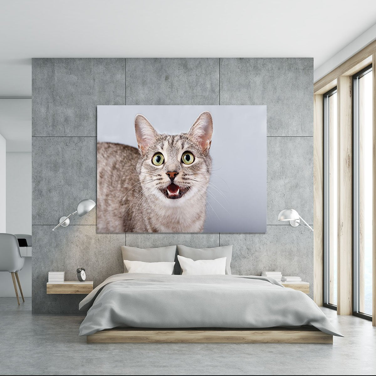Cat meows gray tabby Shorthair Canvas Print or Poster