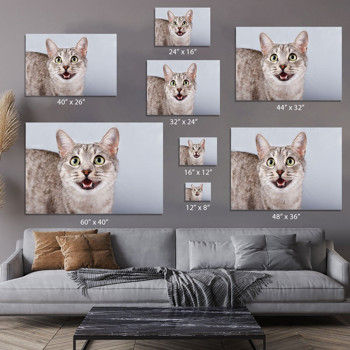 Cat meows gray tabby Shorthair Canvas Print or Poster