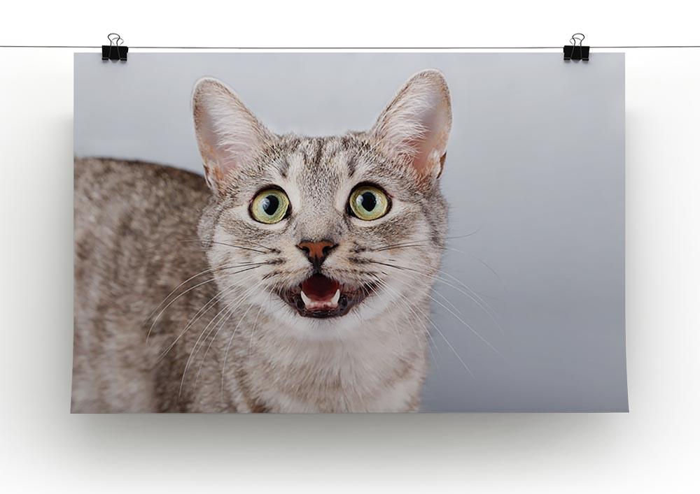 Cat meows gray tabby Shorthair Canvas Print or Poster - Canvas Art Rocks - 2