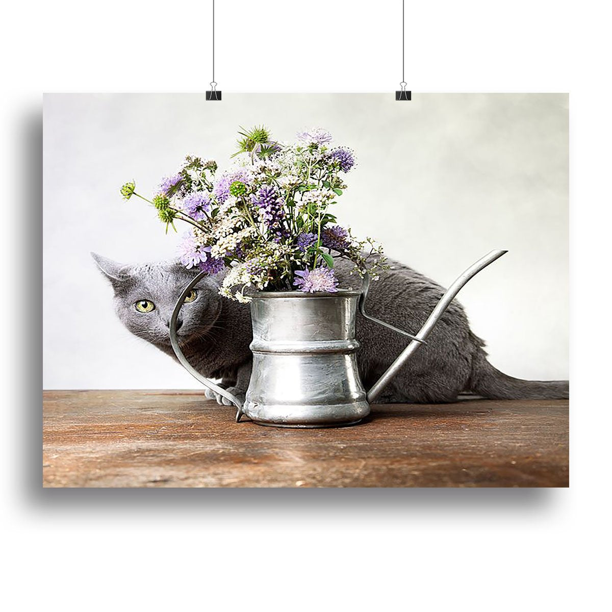 Cat with Flowers Canvas Print or Poster