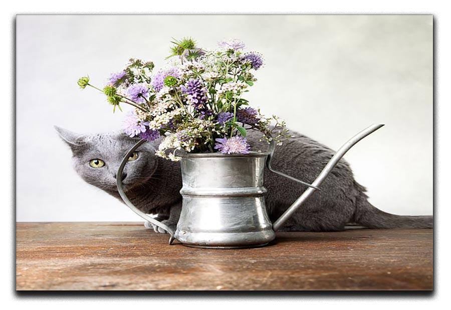 Cat with Flowers in old decorative watering can Canvas Print or Poster - Canvas Art Rocks - 1