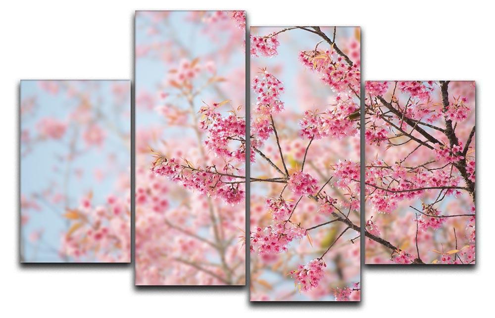 Cherry Blossom 4 Split Panel Canvas  - Canvas Art Rocks - 1