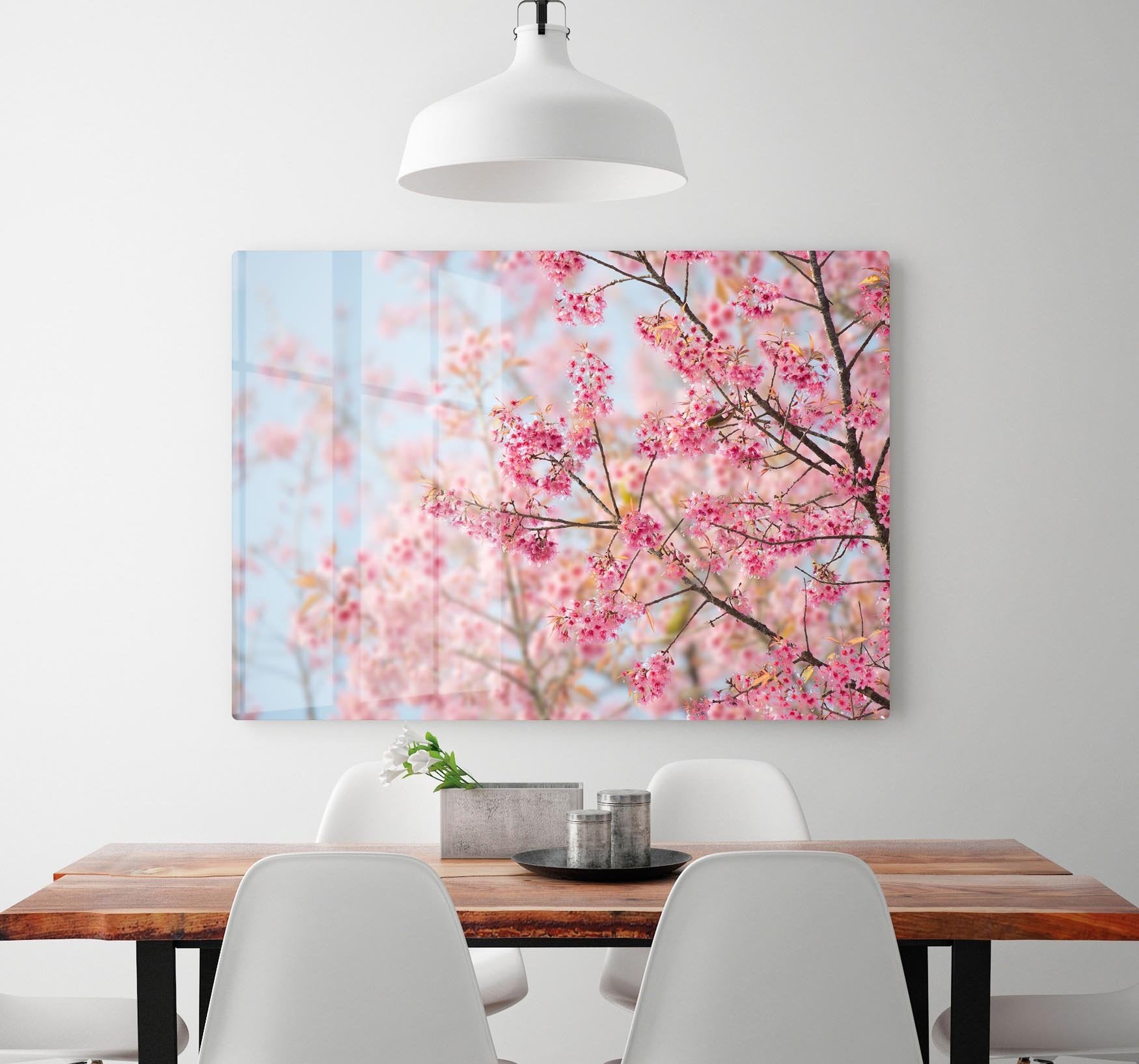 Cherry Blossom HD Metal Print