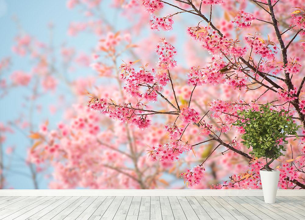 Cherry Blossom Branch Wallpaper Mural