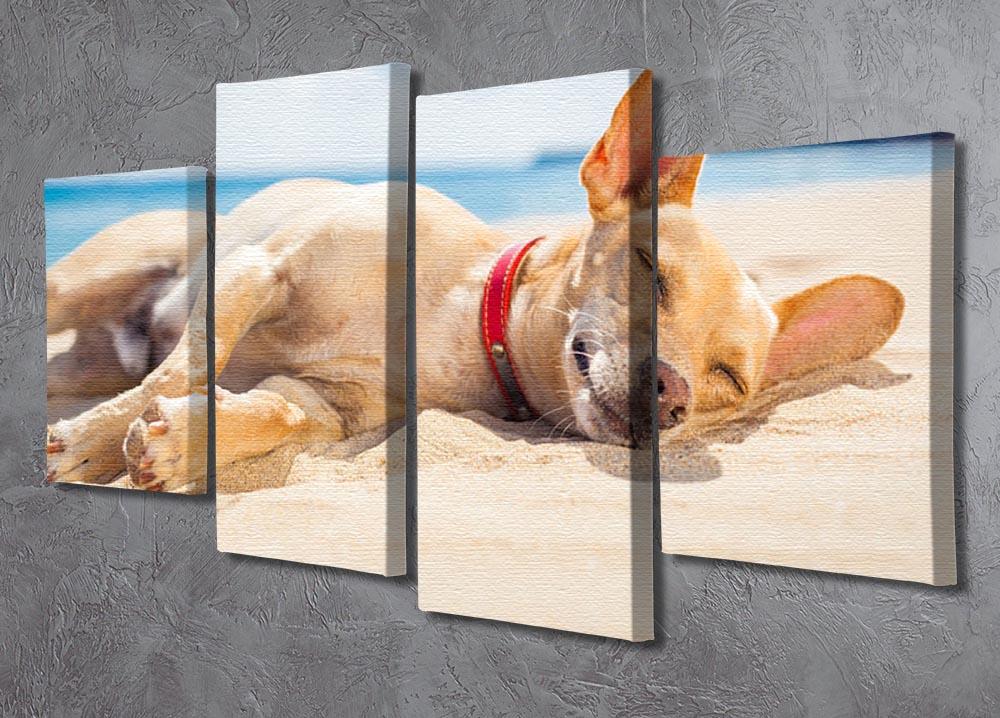 Chihuahua dog relaxing and resting 4 Split Panel Canvas - Canvas Art Rocks - 2
