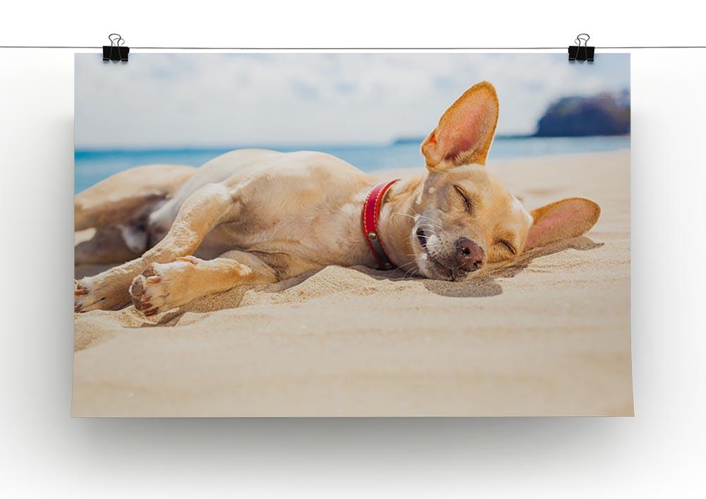 Chihuahua dog relaxing and resting Canvas Print or Poster - Canvas Art Rocks - 2