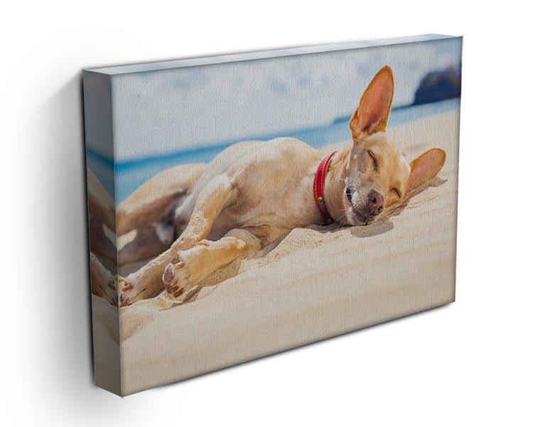 Chihuahua dog relaxing and resting Canvas Print or Poster - Canvas Art Rocks - 3