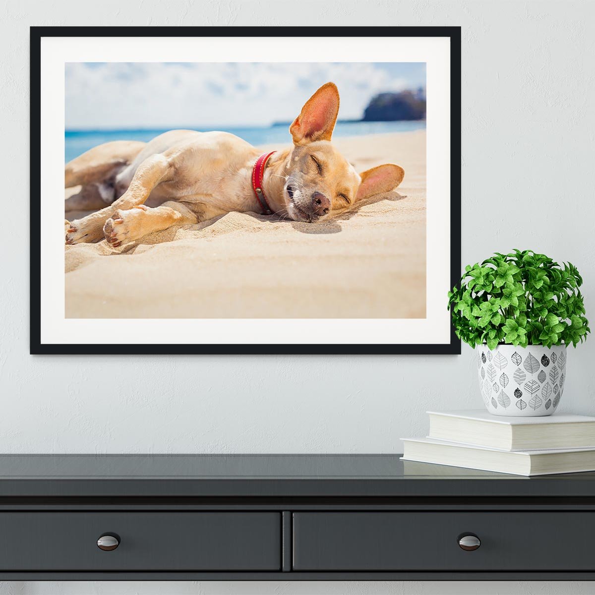 Chihuahua dog relaxing and resting Framed Print - Canvas Art Rocks - 1