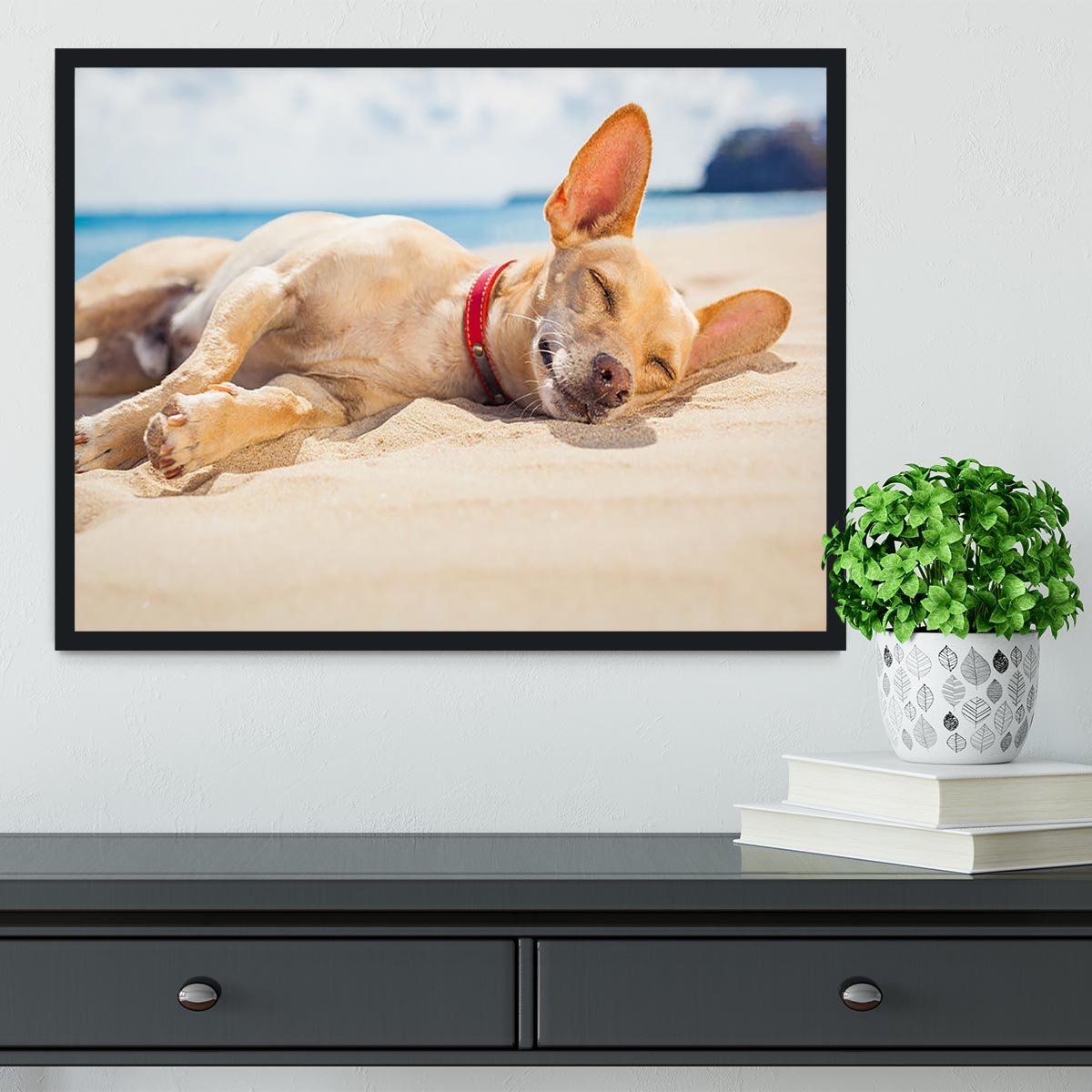 Chihuahua dog relaxing and resting Framed Print - Canvas Art Rocks - 2