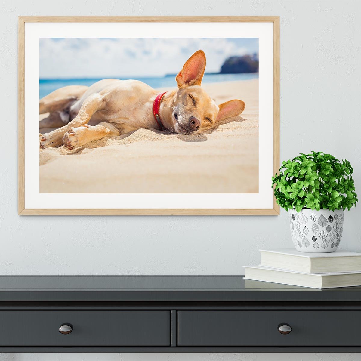 Chihuahua dog relaxing and resting Framed Print - Canvas Art Rocks - 3