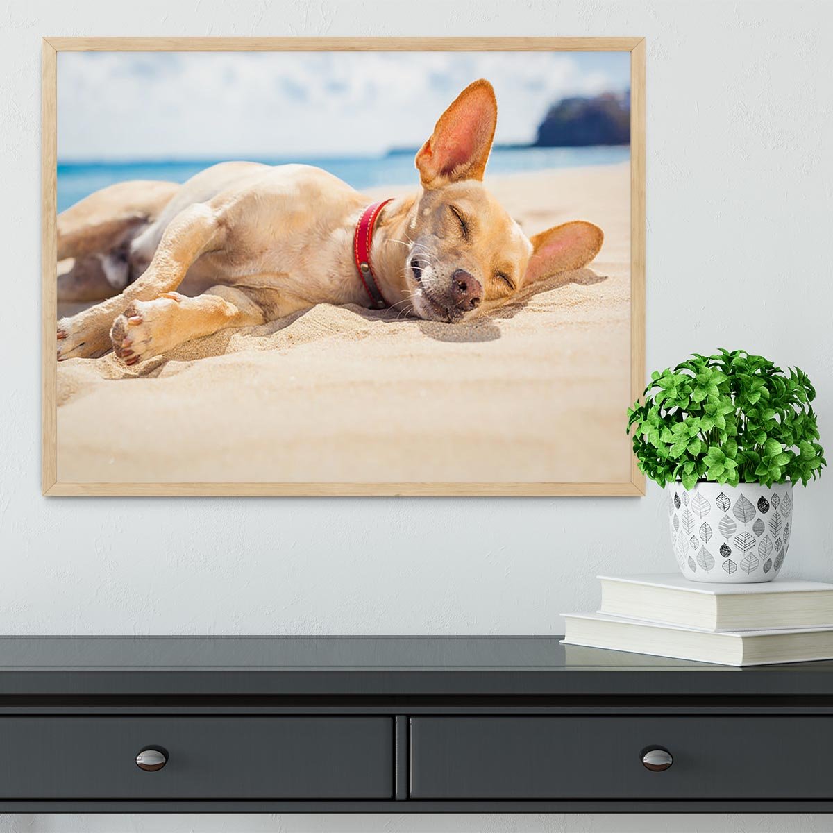 Chihuahua dog relaxing and resting Framed Print - Canvas Art Rocks - 4