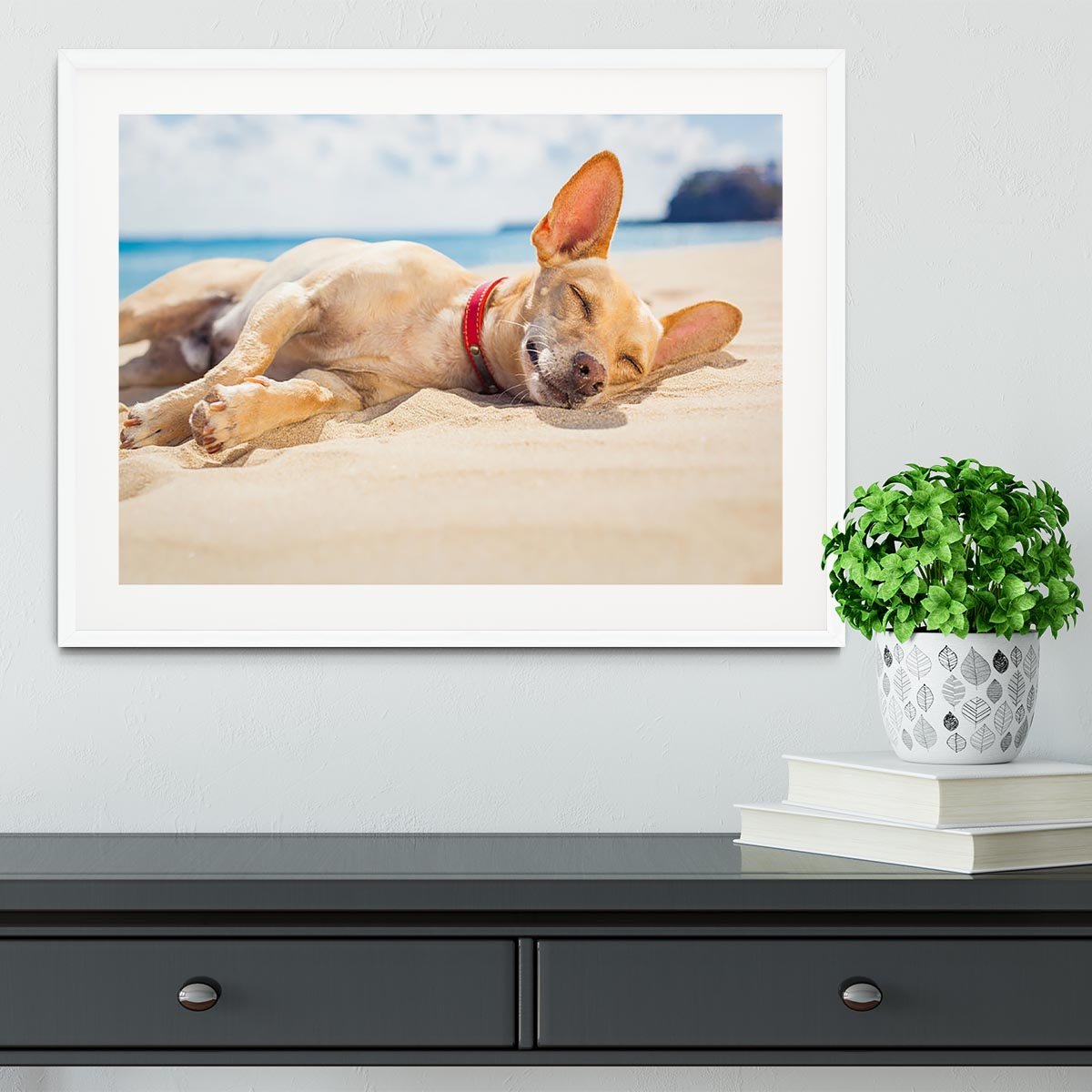 Chihuahua dog relaxing and resting Framed Print - Canvas Art Rocks - 5