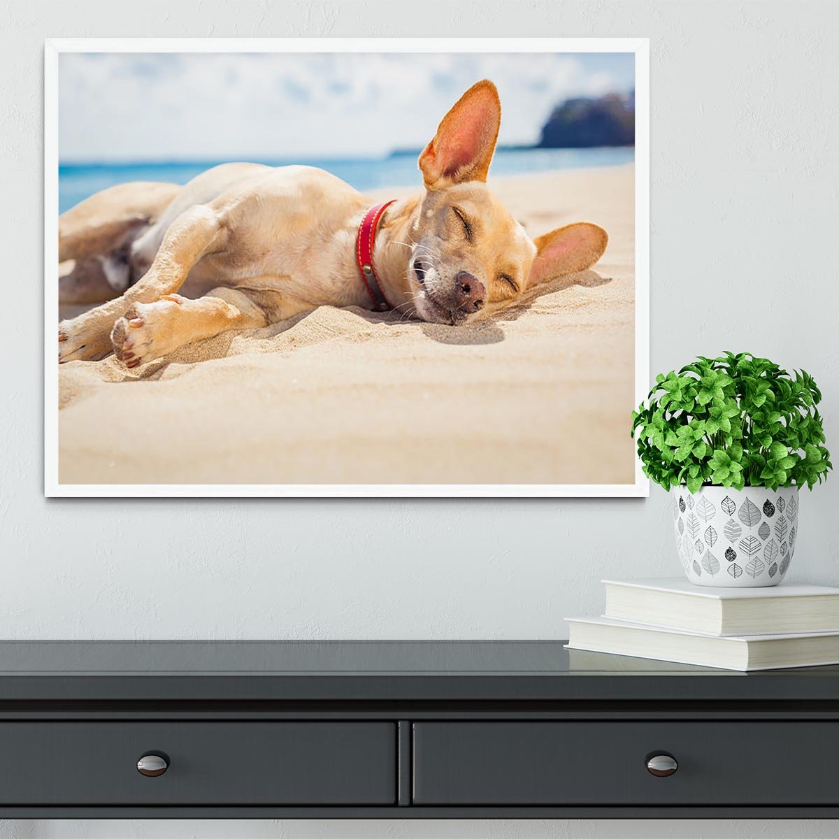 Chihuahua dog relaxing and resting Framed Print - Canvas Art Rocks -6