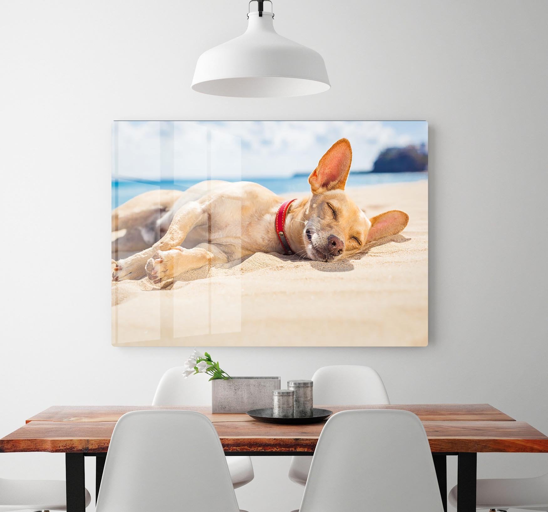 Chihuahua dog relaxing and resting HD Metal Print - Canvas Art Rocks - 2