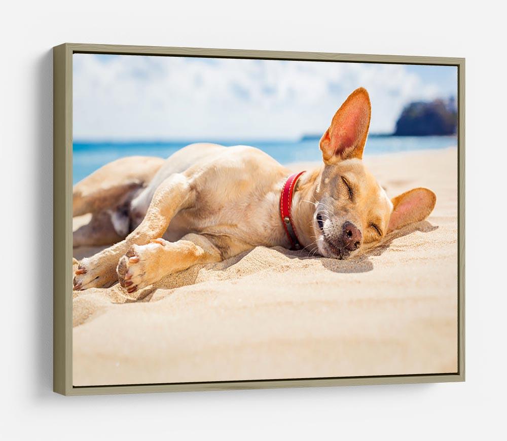 Chihuahua dog relaxing and resting HD Metal Print - Canvas Art Rocks - 8