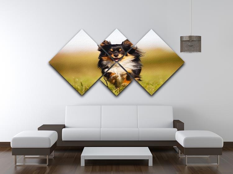 Chihuahua dog running towards the camera in a grass field 4 Square Multi Panel Canvas - Canvas Art Rocks - 3