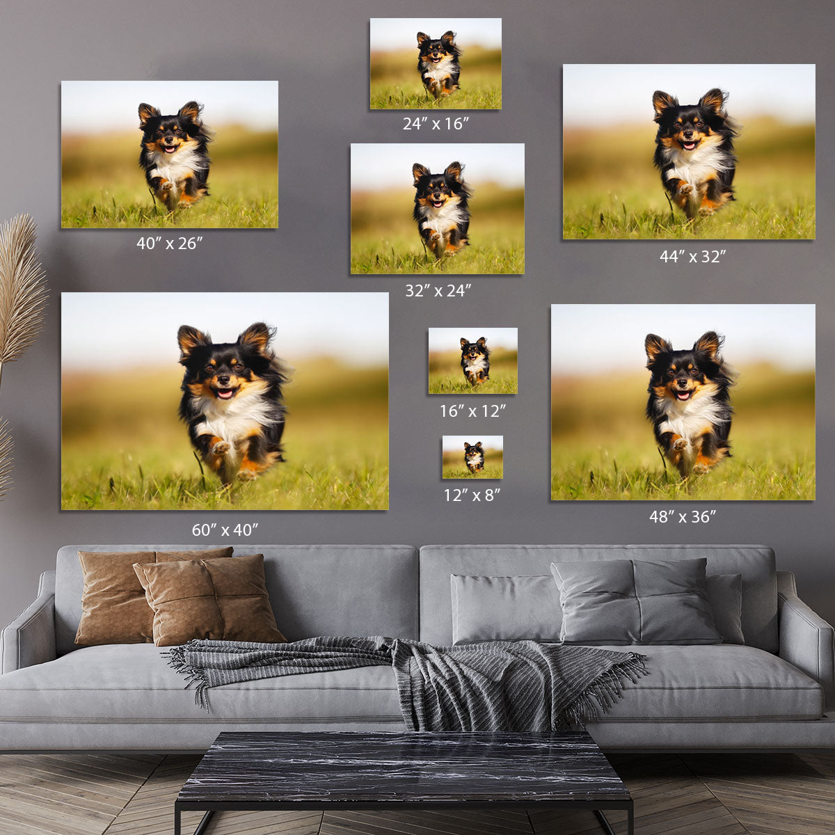 Chihuahua dog running towards the camera in a grass field Canvas Print or Poster - Canvas Art Rocks - 7