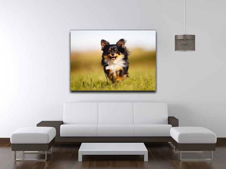 Chihuahua dog running towards the camera in a grass field Canvas Print or Poster - Canvas Art Rocks - 4