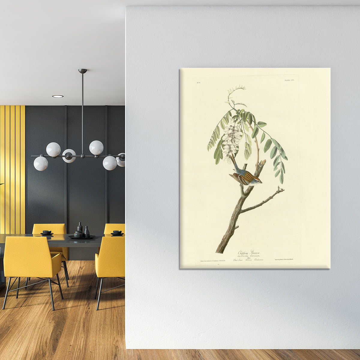 Chipping Sparrow by Audubon Canvas Print or Poster - Canvas Art Rocks - 4