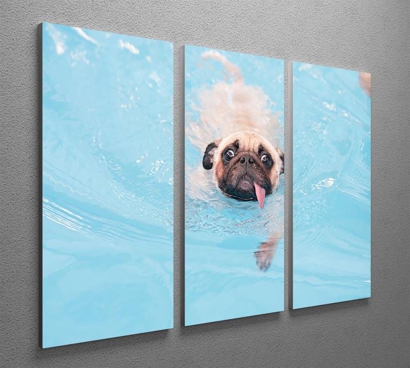 Close-up a cute dog puppy Pug 3 Split Panel Canvas Print - Canvas Art Rocks - 2