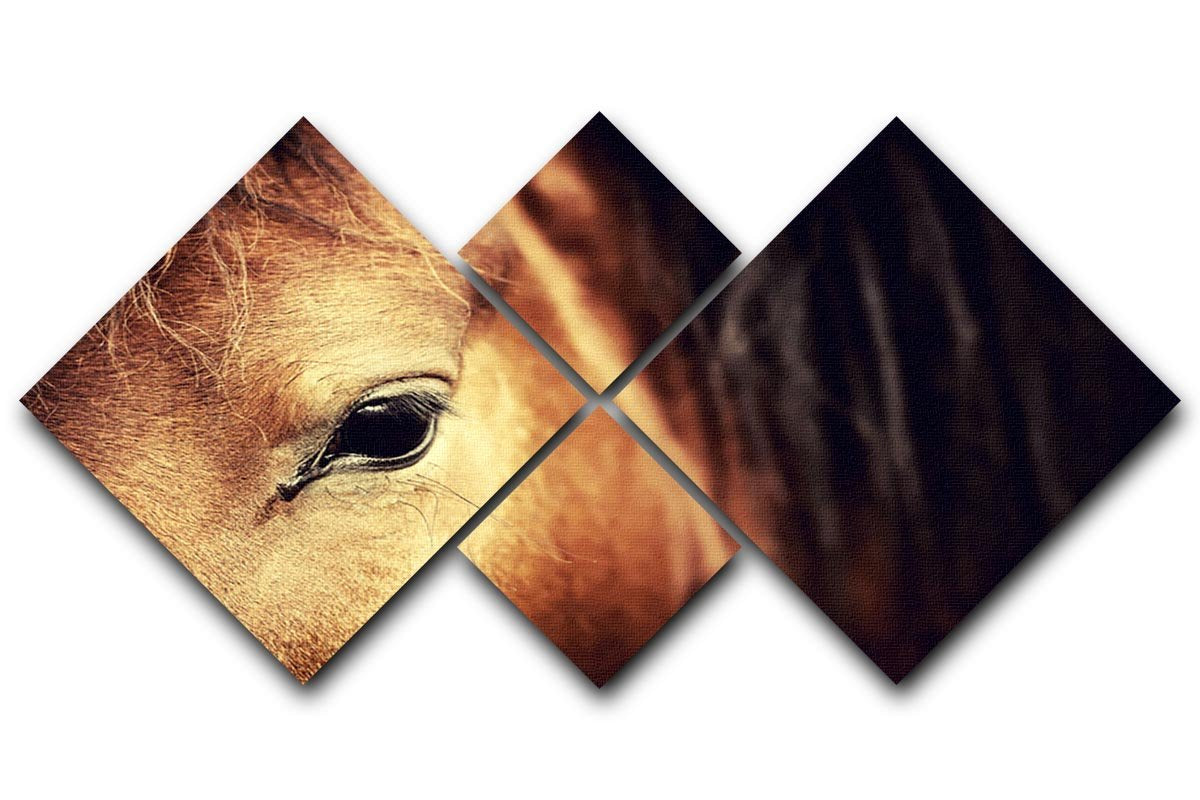 Close-up eye of Arabian bay horse on dark 4 Square Multi Panel Canvas - Canvas Art Rocks - 1