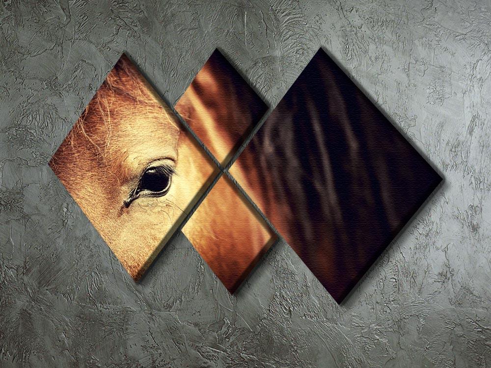 Close-up eye of Arabian bay horse on dark 4 Square Multi Panel Canvas - Canvas Art Rocks - 2