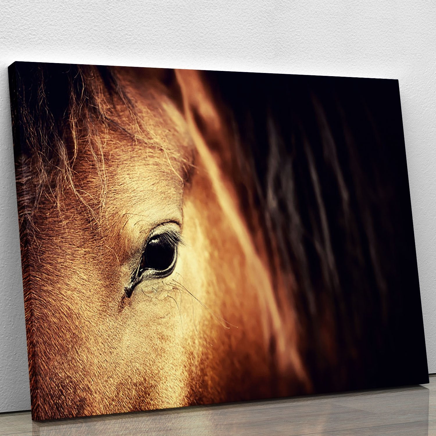 Close-up eye of Arabian bay horse on dark Canvas Print or Poster