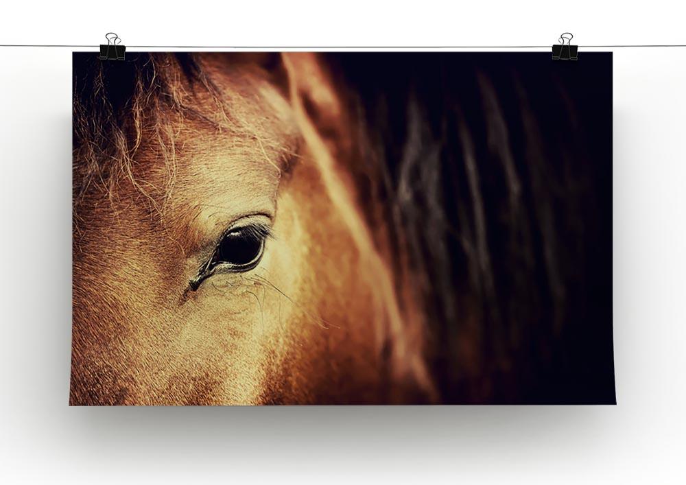 Close-up eye of Arabian bay horse on dark Canvas Print or Poster - Canvas Art Rocks - 2