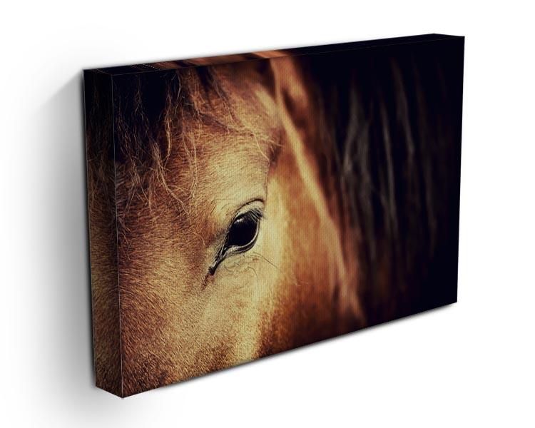 Close-up eye of Arabian bay horse on dark Canvas Print or Poster - Canvas Art Rocks - 3