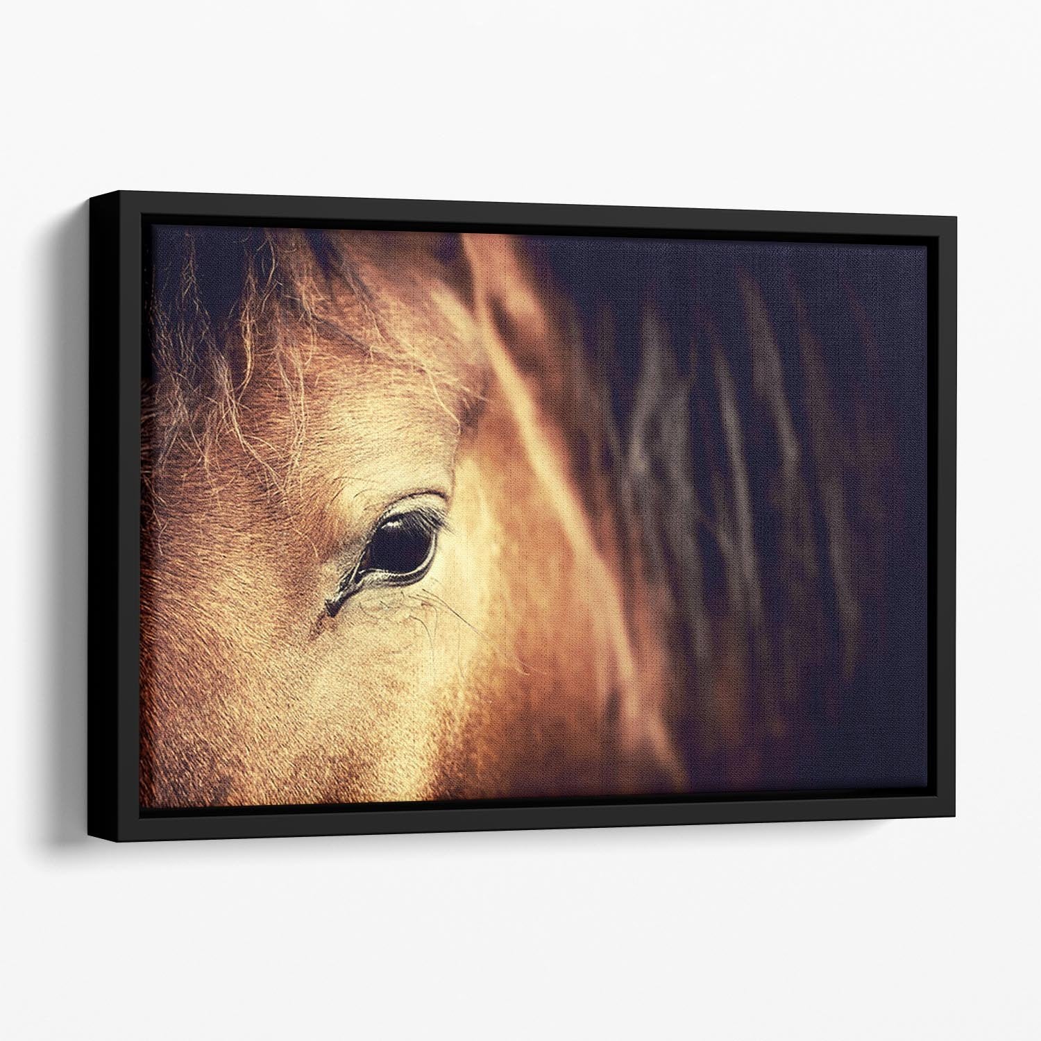 Close-up eye of Arabian bay horse on dark Floating Framed Canvas - Canvas Art Rocks - 1