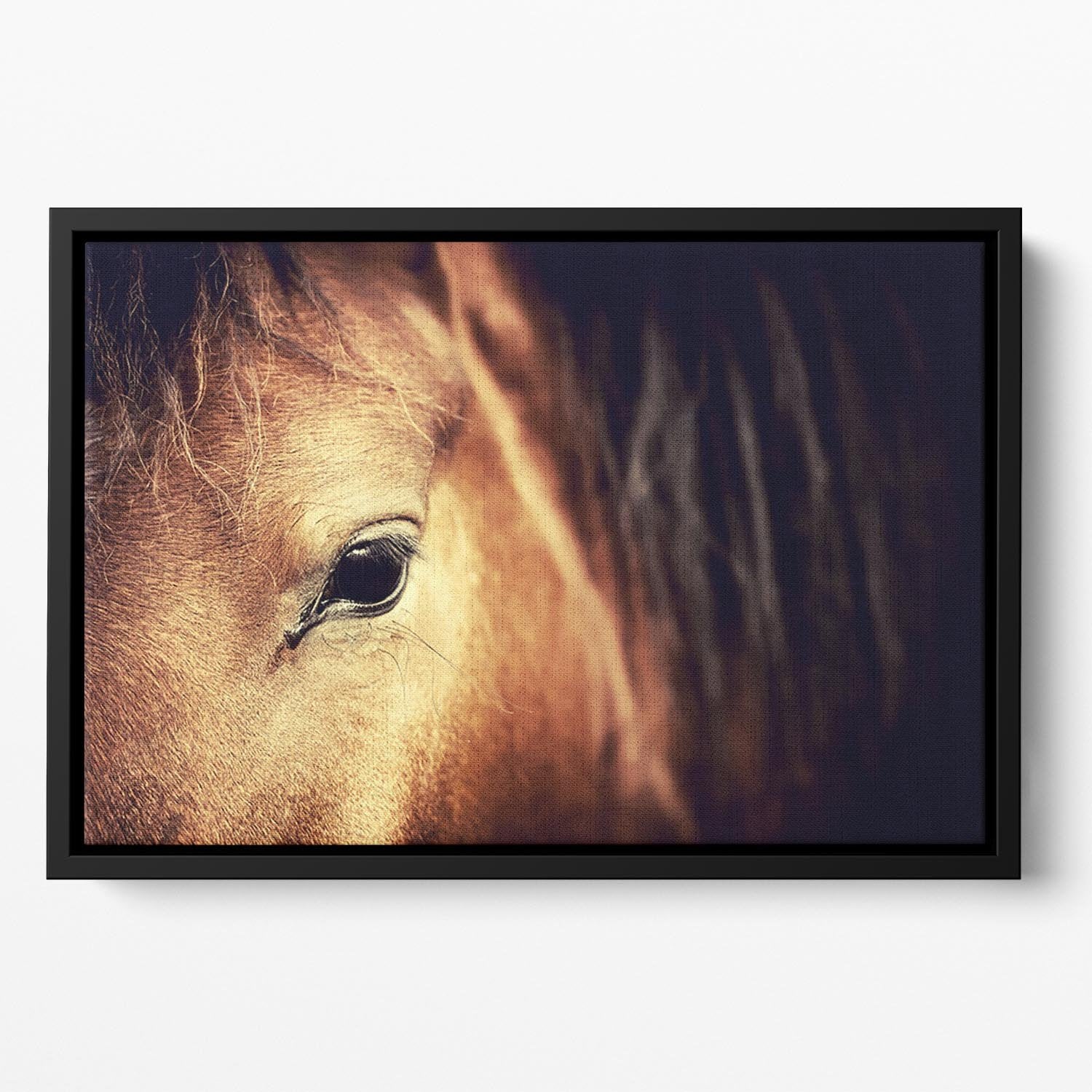Close-up eye of Arabian bay horse on dark Floating Framed Canvas - Canvas Art Rocks - 2