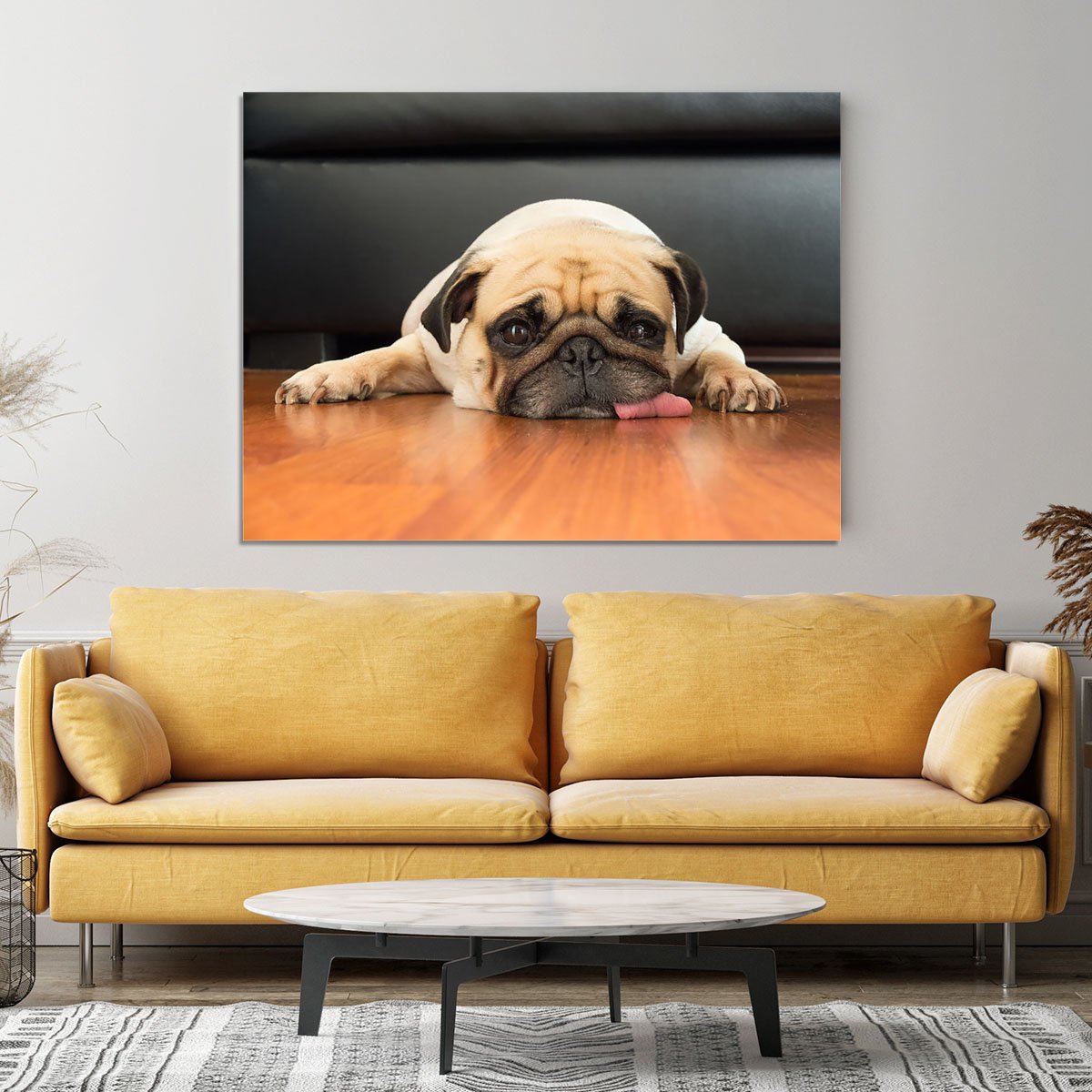 Close-up face of Cute pug Canvas Print or Poster