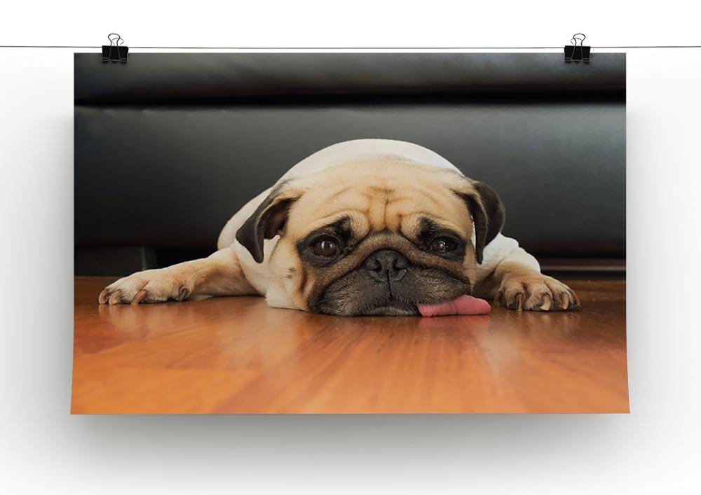 Close-up face of Cute pug Canvas Print or Poster - Canvas Art Rocks - 2