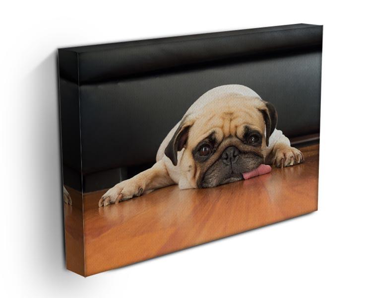 Close-up face of Cute pug Canvas Print or Poster - Canvas Art Rocks - 3