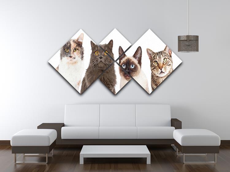 Close-up image of four different breed cats looking forward at the camera 4 Square Multi Panel Canvas - Canvas Art Rocks - 3