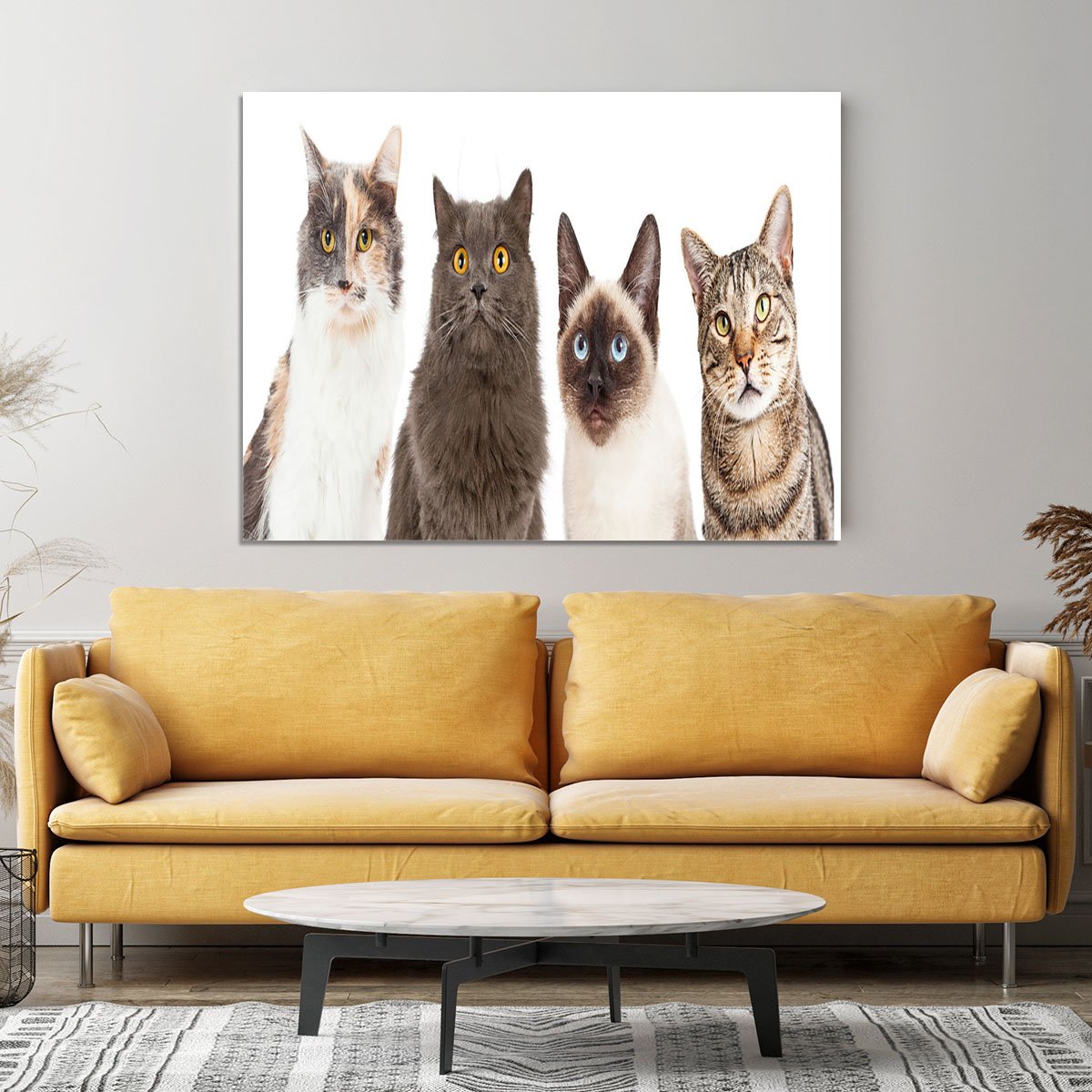 Close-up image of four different breed cats looking forward at the camera Canvas Print or Poster