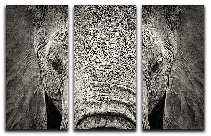 Close-up of African Elephant 3 Split Panel Canvas Print - Canvas Art Rocks - 1