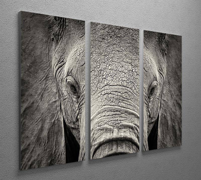 Close-up of African Elephant 3 Split Panel Canvas Print - Canvas Art Rocks - 2