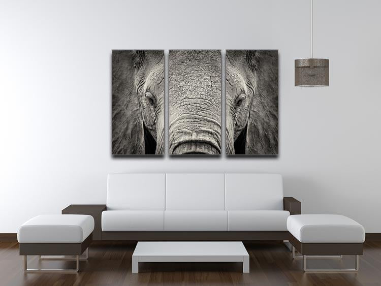 Close-up of African Elephant 3 Split Panel Canvas Print - Canvas Art Rocks - 3