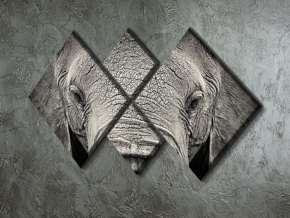 Close-up of African Elephant 4 Square Multi Panel Canvas - Canvas Art Rocks - 2