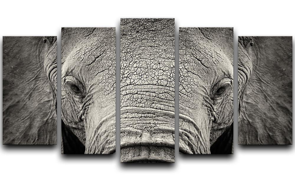 Close-up of African Elephant 5 Split Panel Canvas - Canvas Art Rocks - 1