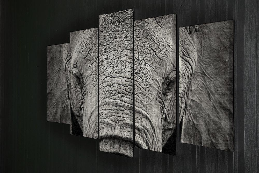 Close-up of African Elephant 5 Split Panel Canvas - Canvas Art Rocks - 2