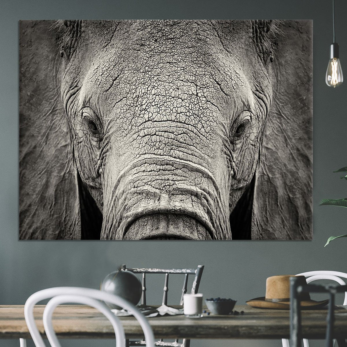 Close-up of African Elephant Canvas Print or Poster