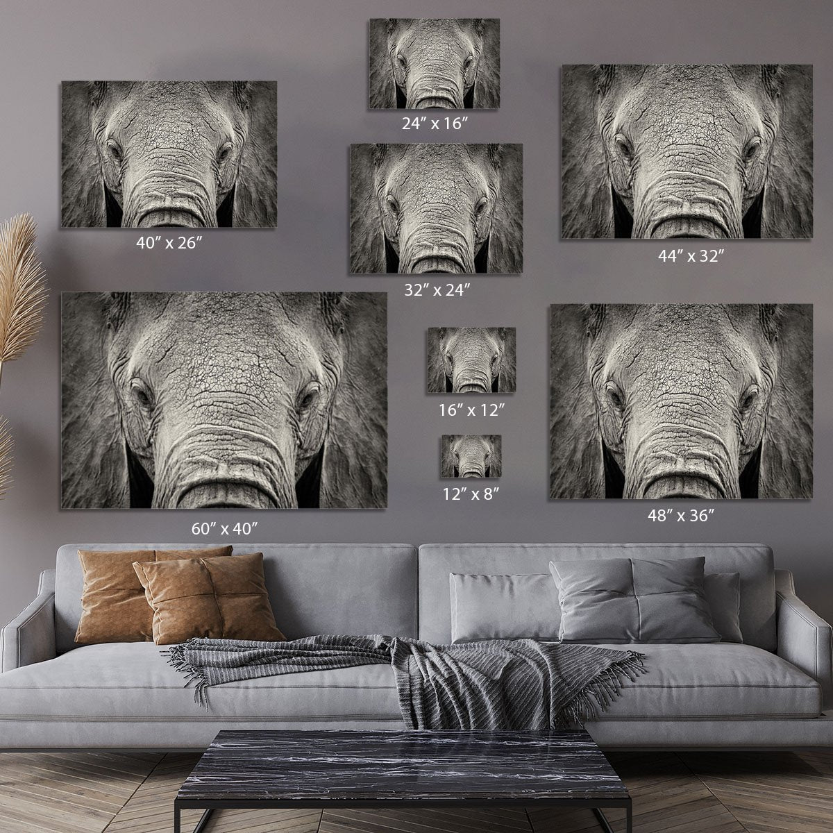 Close-up of African Elephant Canvas Print or Poster