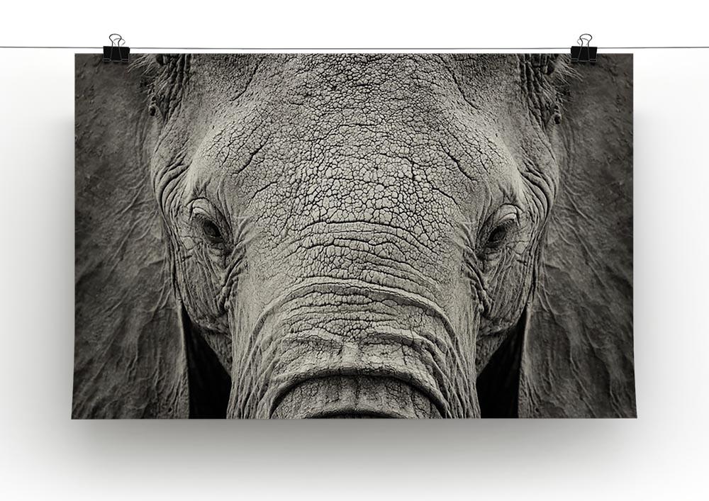 Close-up of African Elephant Canvas Print or Poster - Canvas Art Rocks - 2