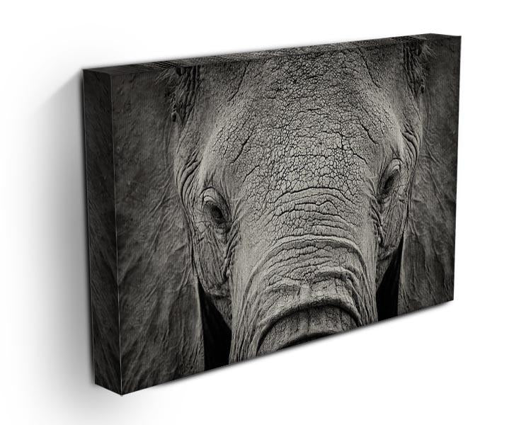 Close-up of African Elephant Canvas Print or Poster - Canvas Art Rocks - 3
