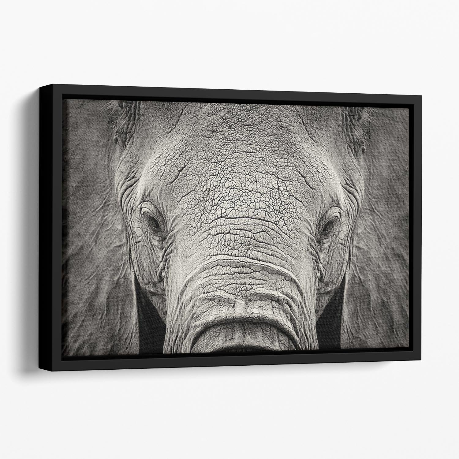 Close-up of African Elephant Floating Framed Canvas - Canvas Art Rocks - 1