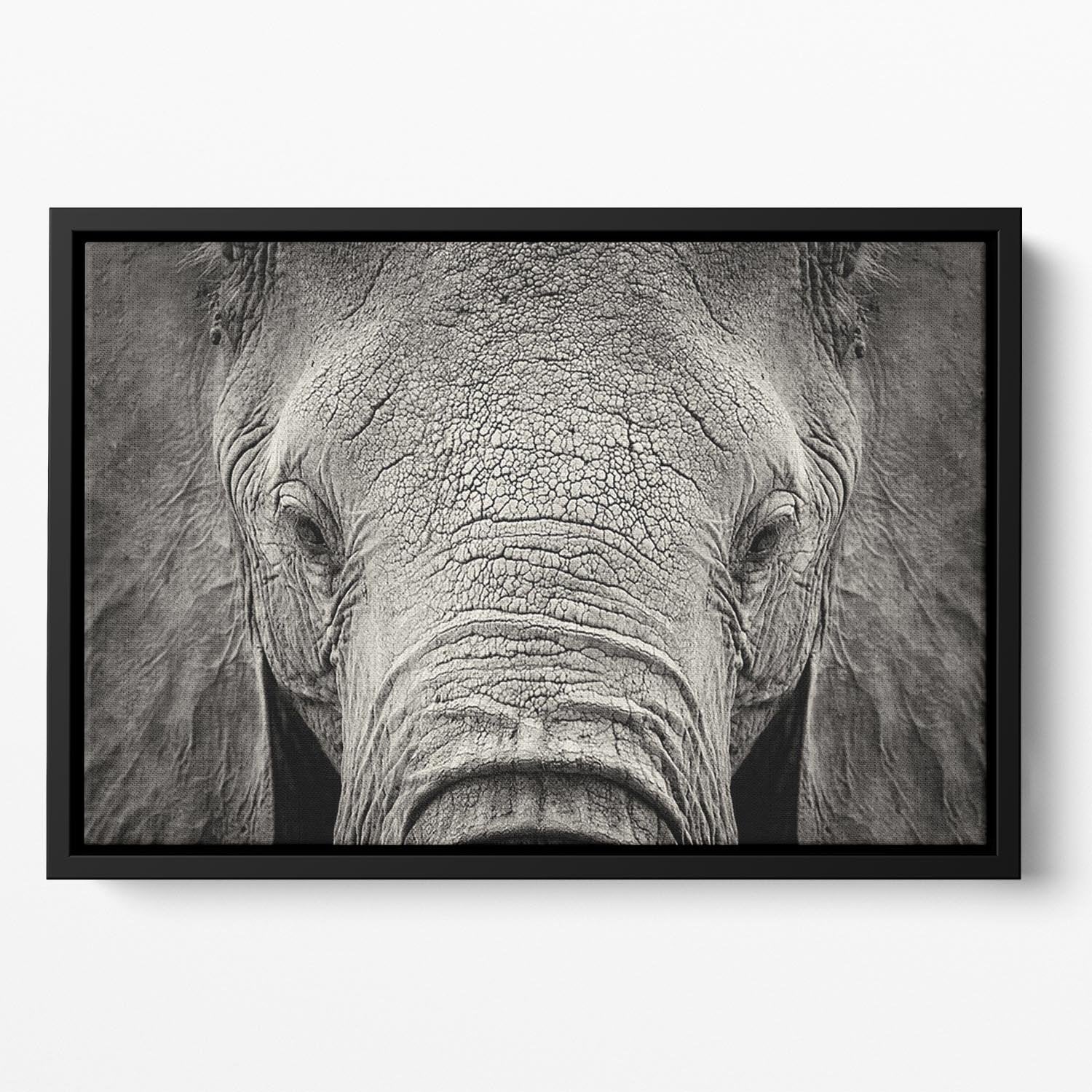 Close-up of African Elephant Floating Framed Canvas - Canvas Art Rocks - 2