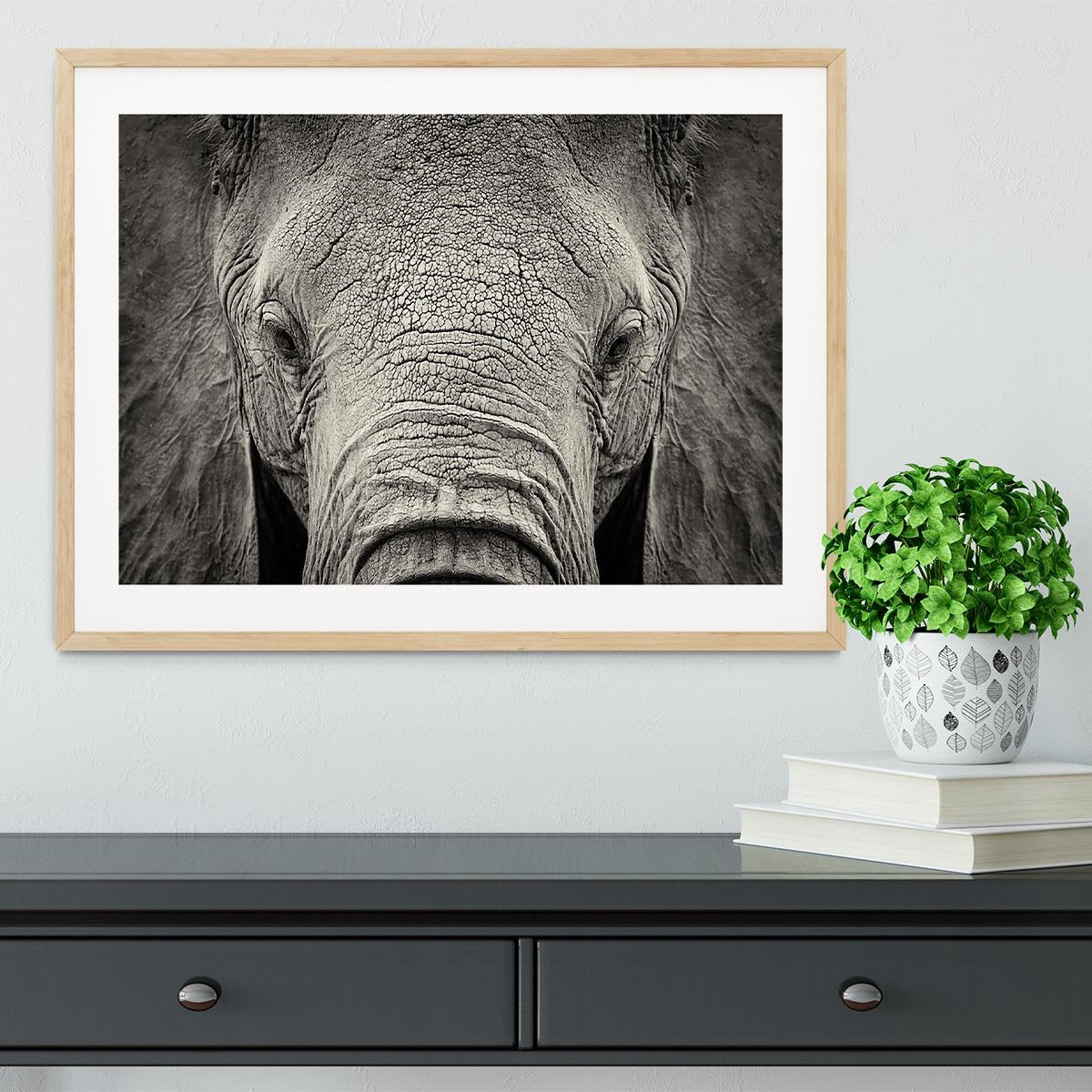 Close-up of African Elephant Framed Print - Canvas Art Rocks - 3